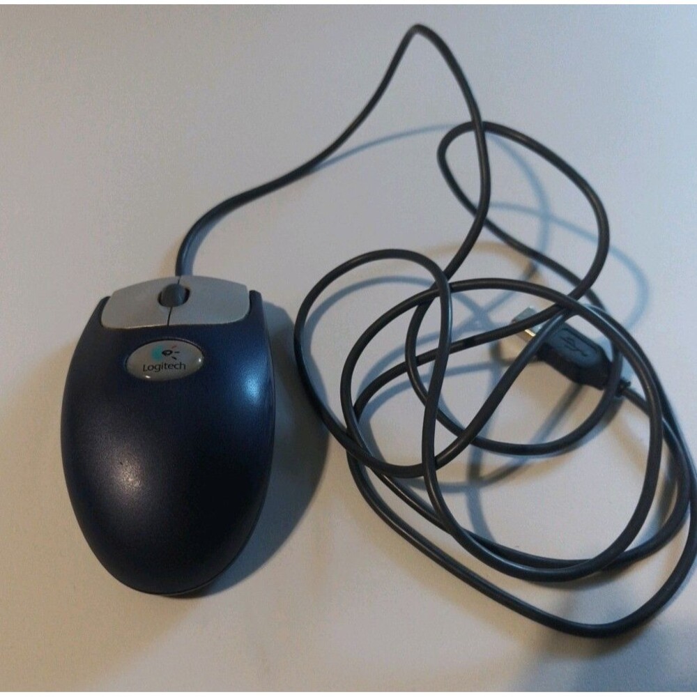Logitech M-BJ58 Optical Wheel Mouse USB Wired Blue/Silver Vintage Y2K Tested